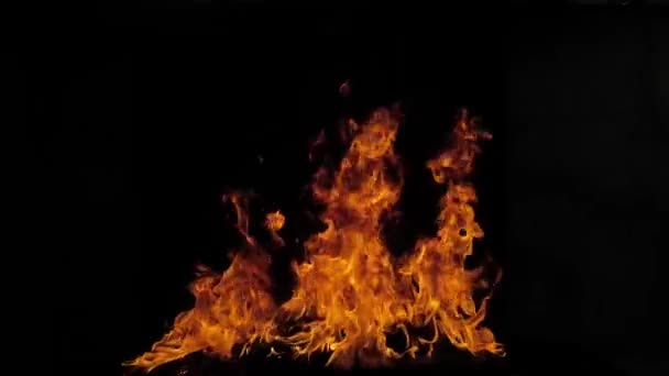 Пламя Огня Черном Фоне Медленное Движение Огонь Пламени Изолированы Абстрактная — стоковое видео
