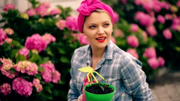 Woman Gardener Gardening Planting Flowers Spring Garden Hydrangea Flowers Housewife — Video