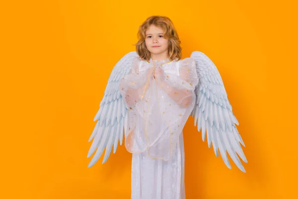 Cute Angel Kid Studio Portrait Blonde Curly Little Angel Child — Photo