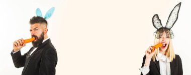 Funny easter. Bunny couple celebration on easter day. Funny serious easter bunny. Couple on easter nibbles a carrot like a hare. Isolated. Horizontal photo banner for website header design