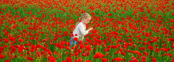 Spring family holidays on nature. Poppies meadow with poppys flowers. Beautiful child girl walking in spring poppy flower field outdoors. Spring and kid. Wide photo banner for website header