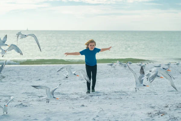 Happy Amazed Kid Running Chasing Birds Kid Runs Coast Chases — Stock Photo, Image