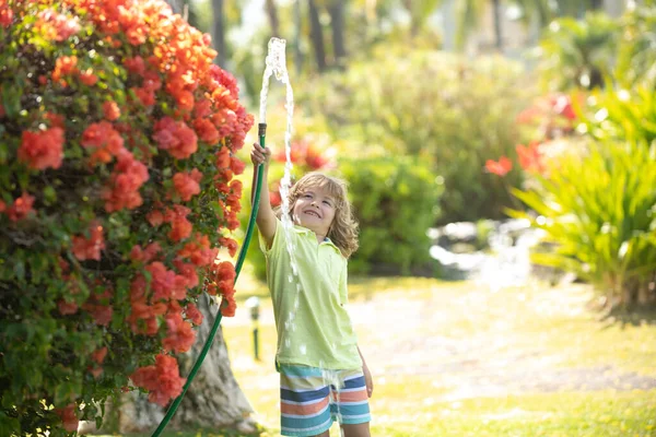 Child having fun in domestic garden. Child hold watering garden hose. Active outdoors games for kids in the backyard during harvest time
