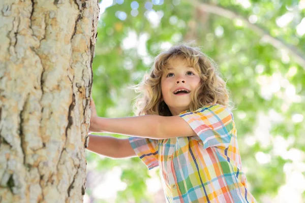 8 yaşında bir çocuk parkta yüksek ağaca tırmanıyor. Yükseklik korkusunu yenmek. Mutlu bir çocukluk. Çocuk ağaca tırmanmaya çalışıyor.