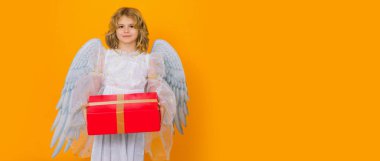 Angel child hold gift present. Cute angel kid, studio portrait. Banner header, copy space. Blonde curly little angel child with angels wings, isolated background