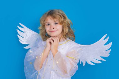 Christmas kids. Little cupid angel child with wings. Studio portrait of angelic kid