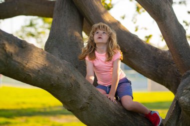 Ağaçtaki çocuk. Sigortacı çocuklar. Çocuklar için sağlık sigortası kavramı. Sağlık sigortası. Çocuk dışarıdaki yaz parkında ağaçtan ağaca tırmanıp sallanıyor.