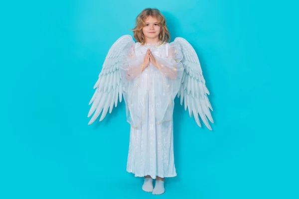 Ангельская Молитва Милый Ангелочек Студийный Портрет Ангел Ребенок Крыльями Ангелов — стоковое фото