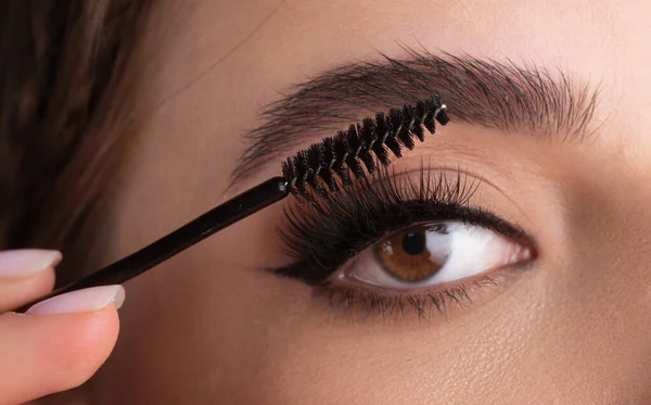 Close Eyebrows Eyebrow Brush Care Brows Eyebrows Lamination Brow Procedures —  Fotos de Stock