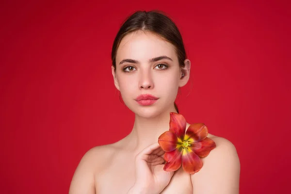 Beauty and flower. Youth and skin care concept. Sensual girl with tulip near naked shoulder. Beautiful sensual woman hold tulips, studio portrait on red background