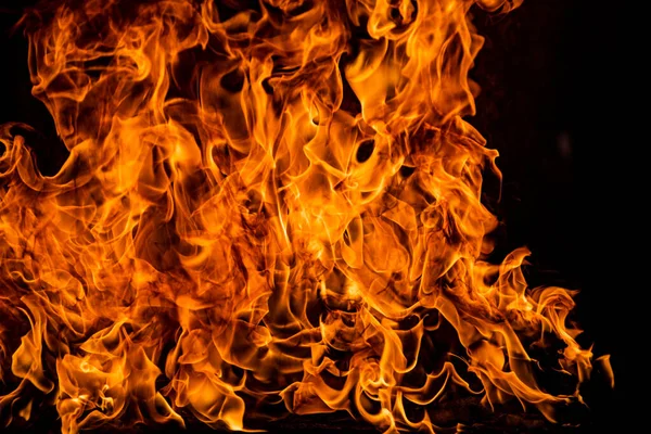 Fire Burning Flame Large Burning Flaming Fire — Stock Photo, Image