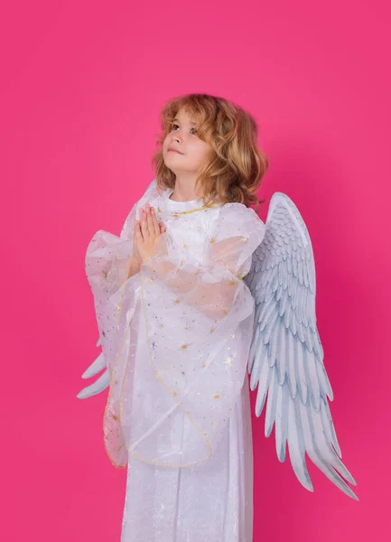 Angel Prayer Angel Child Isolated Studio Shot Cute Kid Angel — Foto de Stock
