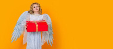 Angel with gift box present. Beautiful little angel. Isolated studio shot. Cute Pretty child with angel wings. Cupid, valentines day concept. Horizontal header, banner