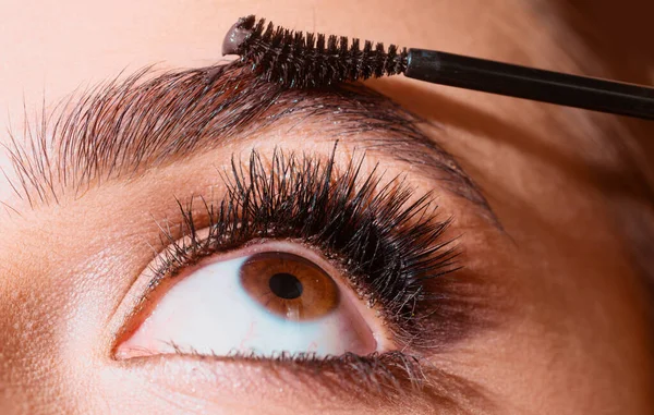 Combs eyebrows with a brush in a beauty salon. Woman with long eyelashes and thick eyebrows. Macro close up of brows