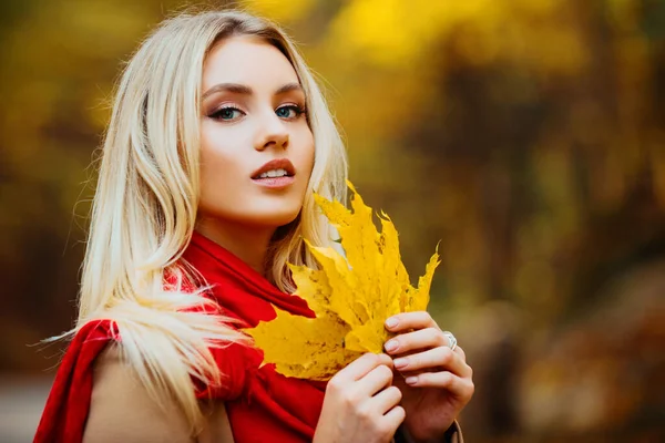 Autumnal queen walking in the park. Attractive female holding fallen yellow leaves. Girl wearing bright red cozy and warm scarf. Close up portrait of blonde with angel beauty