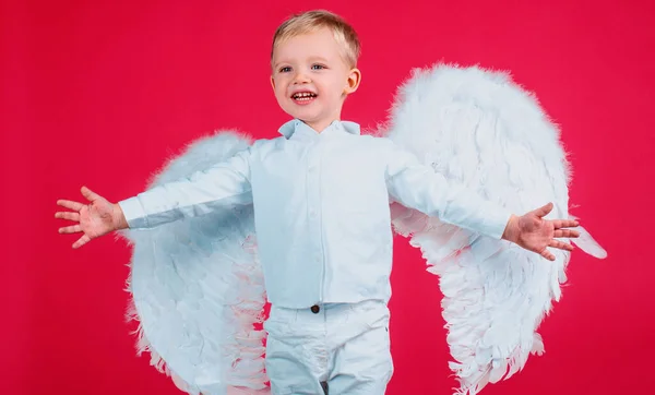 Счастливый Улыбающийся Мальчик Ангельскими Крыльями — стоковое фото