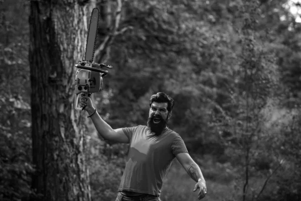 The Lumberjack working in a forest. Lumberjack worker with chainsaw in the forest. Lumberjack worker standing in the forest with chainsaw. Logging. Agriculture and forestry theme