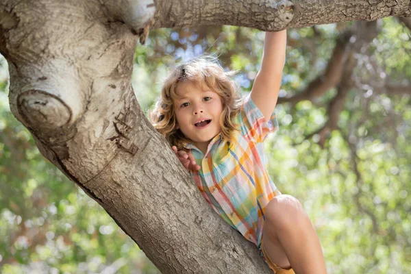 Funny child climbing a tree in the garden. Active kid playing outdoors. Portrait of cute kid boy sitting on the branch tree on summer day