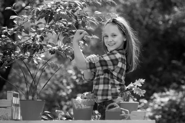 Girl power. Portrait of kid gardener carrying harvested in farm. Happy little farmer having fun on field. Toddler are working in flowers park