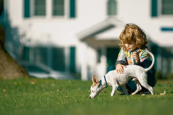 Barnägaren Smeker Försiktigt Sin Hund Lycklig Unge Och Valp Kramar — Stockfoto
