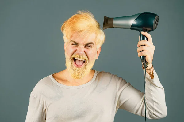 Dryer blond hair for a bearded hipster guy. Blonde Man with hairdryer, dryer or fen