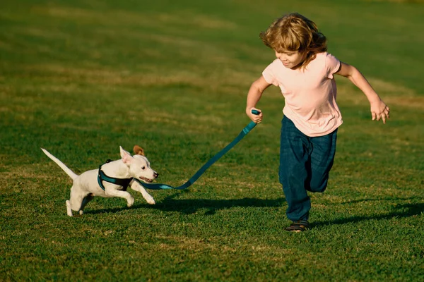 Ragazzo Che Corre Gioca Con Cane Sul Prato Nel Parco — Foto Stock