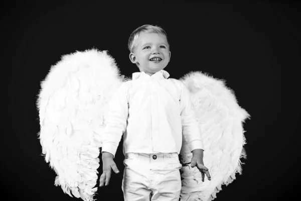 Angel Cupid Child Boy White Wings Isolated Red — Stock Photo, Image