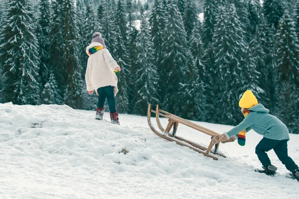 冬天的孩子们坐在雪地里的雪橇上滑行 — 图库照片