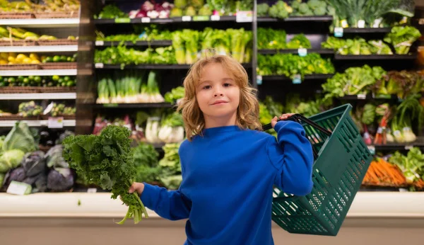Child with shopping basket and fresh vegetables. Kid is choosing fresh vegetables and fruits in the store. Child buying food in grocery supermarket