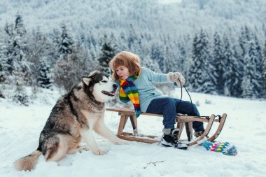 Funny boy with dog having fun with a sleigh in winter forest woods. Tender cute dog. Kids pet love