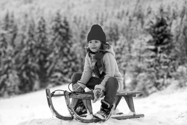 Зимний Ребенок Скользит Санях Снежном Парке — стоковое фото
