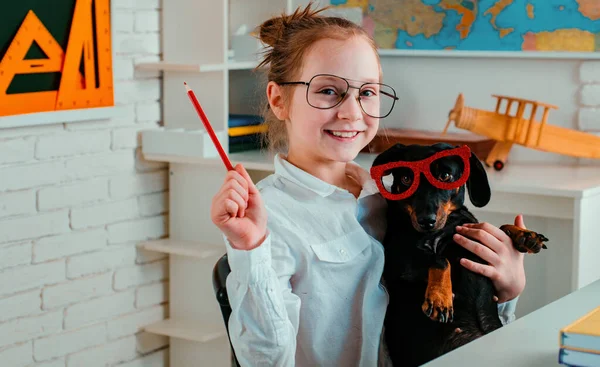 Cute Playful Doggy Pet Glasses Looking Pupil Funny Puppy Glasses — Stock Photo, Image