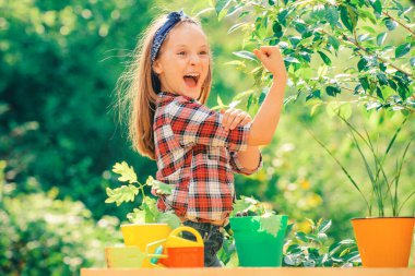 Kız gücü. Çocuklarla bahçıvanlık. Çiftlik arazisindeki çocuk portresi. Bahar tarlasında patatesle çalışan şirin bir çiftçi.