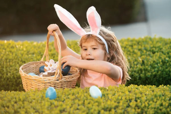 Kids in bunny ears on Easter egg hunt in garden. Child gathering eggs, easter egg hunt concept