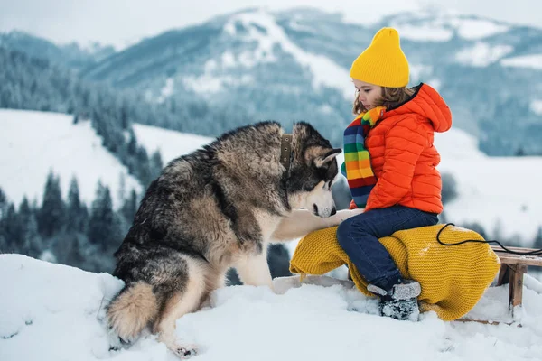 Husky Dog Kid Boy Snowy Winter Landscape Winter Kid Theme — Stock Photo, Image