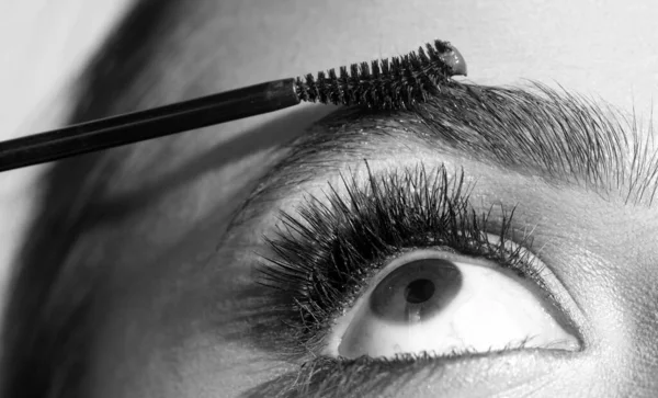 Combs eyebrows with a brush in a beauty salon. Woman with long eyelashes and thick eyebrows. Macro close up of brows