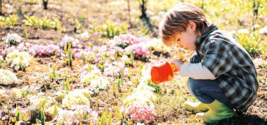 Küçük bir çocukla bahçe işleri. Çiftlikte vakit geçirmeyi seviyorum. Küçük çocuk bahçıvanlık yapıyor ve baharda eğleniyor.