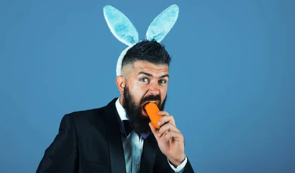 Funny bearded man with carrot and rabbit ears on isolated background. Rabbit cosplay. Bearded hipster in suit with ears and carrot
