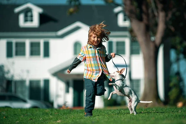 Dog Leash Running Handler Little Boy Background Green Backyard Lawn — Stock Photo, Image