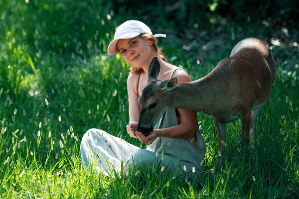 Woman feed fawn deer. Unity with nature. Wild animals concept. Girl feeding bambi. Animal at park