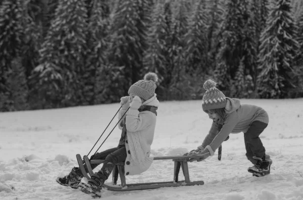 Happy Little Boy Girl Sledding Winter Kids Sibling Riding Snow — Stock Photo, Image