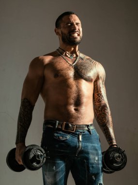 Kas yığını sabah halterle egzersiz yapıyor. Sporcu güçlü kasları çalıştırıyor. Fitness ve vücut geliştirme sporu. Mükemmel pazılar. Sağlıklı bir vücutta sağlıklı bir akıl.