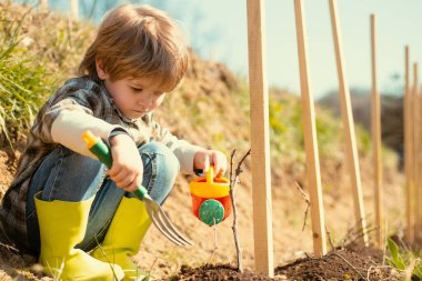 Cute little farmer working with spud on spring field. Little gardener. Kid planting flowers in pot. Son planting flowers in ground