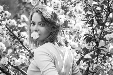 Kiraz Çiçeği Etkinlikleri ve Konumları. Bahar kiraz çiçekli kadın arka planda