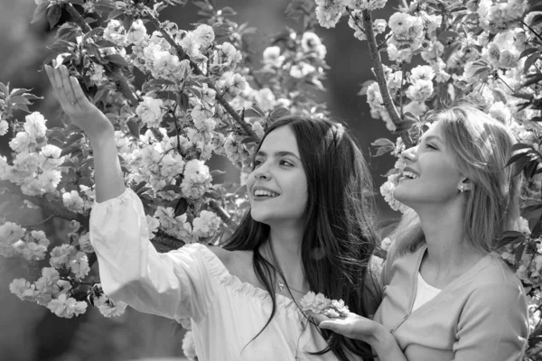 Cherry Blossom Events and Locations. Womens day, 8 march. Two Happy girls with Blossom sakura cherry tree over nature background