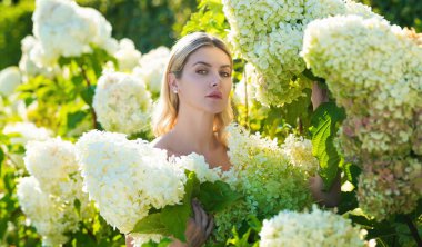 Yumuşak arka planda duran tatlı kız ortancaların çiçek açması, şefkat. Ortanca çiçeklerinin arka planında çok güzel, şehvetli ve seksi bir kızın portresi.