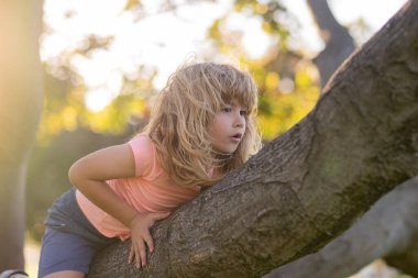 Ağaçtaki çocuk. Sigortacı çocuklar. Çocuklar için sağlık sigortası kavramı. Sağlık sigortası. Çocuk dışarıdaki yaz parkında ağaçtan ağaca tırmanıp sallanıyor.