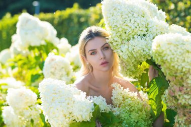 Yumuşak arka planda duran tatlı kız ortancaların çiçek açması, şefkat. Ortanca çiçeklerinin arka planında çok güzel, şehvetli ve seksi bir kızın portresi.