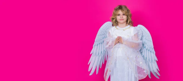 可爱的天使小孩 工作室的肖像 横幅头 复制空间 带着天使翅膀的金发卷曲的小天使小孩 有祈祷的手 希望和祈祷的概念 孤独的背景 — 图库照片