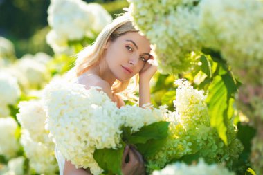 Sensual woman in blooming bush of hydrangea flowers in summer garden. Big white Hydrangeas shrubs flowers. Attractive woman hold bouquet of white hydrangea